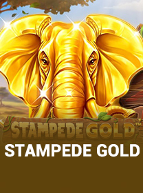Cara Bermain Stampede Gold dengan Benar di Android